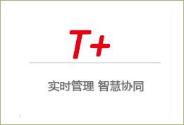 用友T+標(biāo)準版